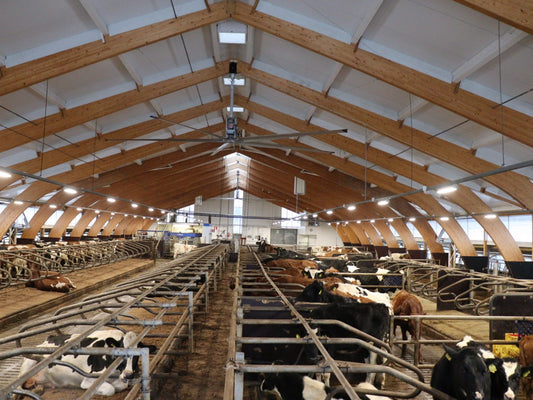 Visit Robot Barn in Harjulan Maito, Finland Designed by 4dBarn
