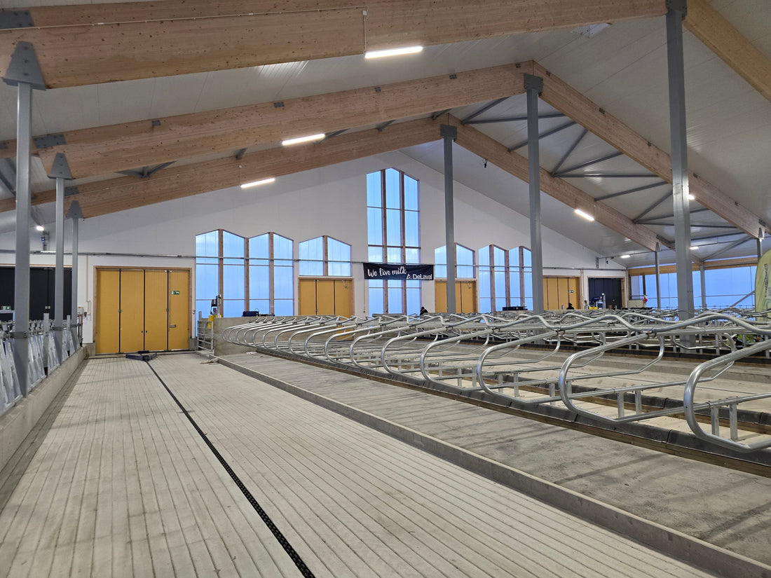 Visit Robot Barn Knuutin tila Oy - Designed by 4dBarn