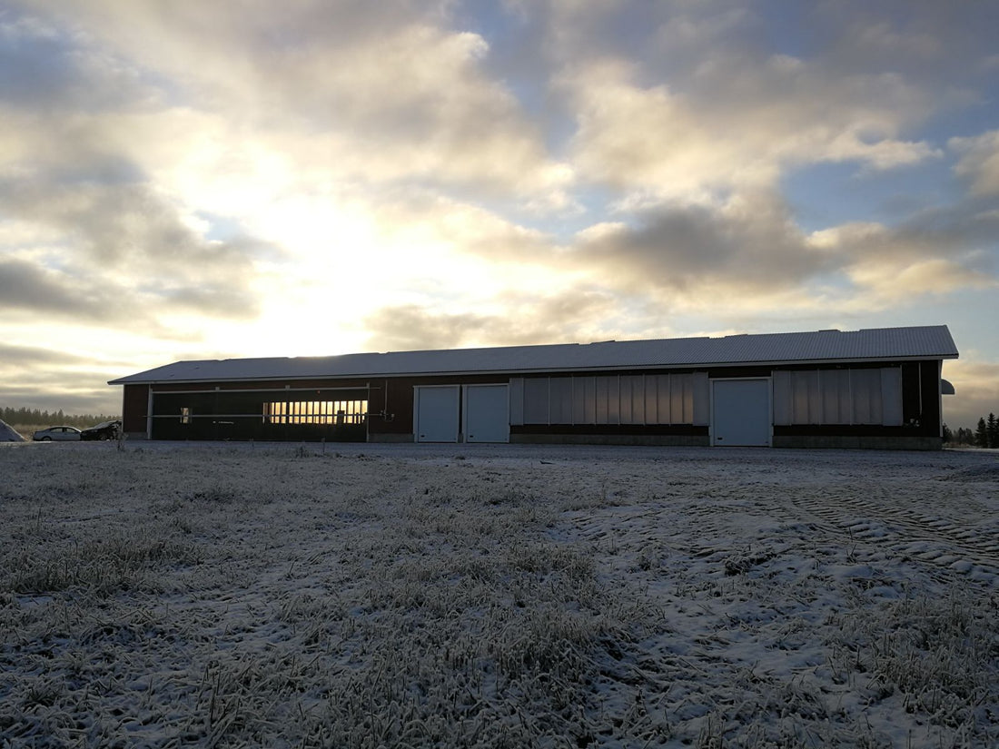 Design for a functional calf barn