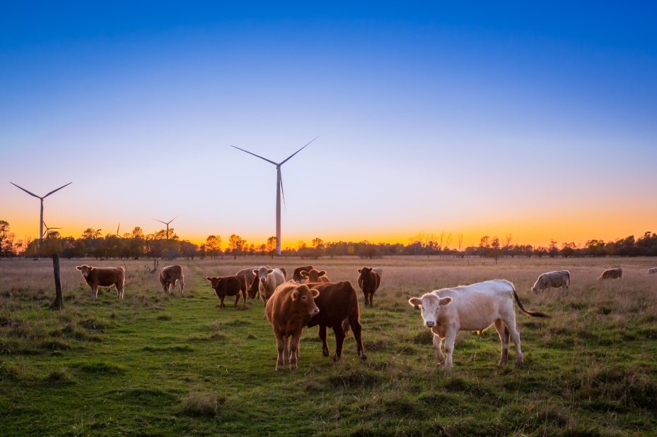 Leverage from the EU Development grant to 4dBarn Oy