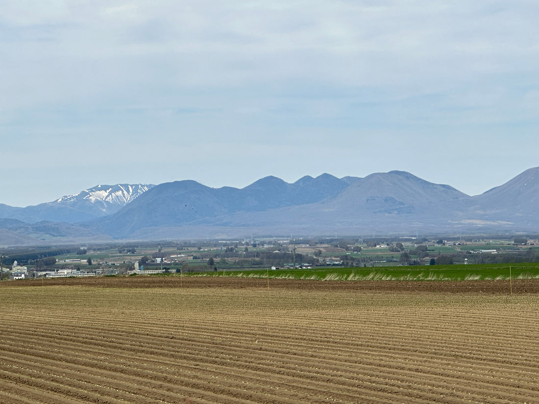 4dBarn travelling in Japan : Robotic barns and seminars