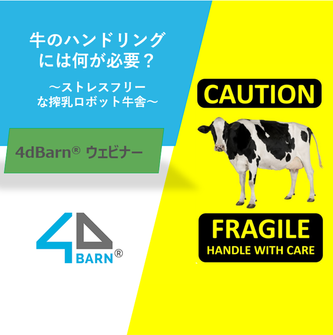 牛のハンドリングには何が必要?   ~ ストレスフリーな搾乳ロボット牛舎~