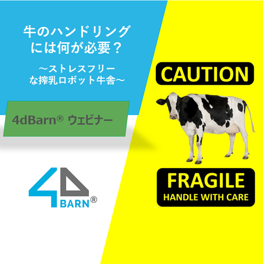 牛のハンドリングには何が必要?   ~ ストレスフリーな搾乳ロボット牛舎~