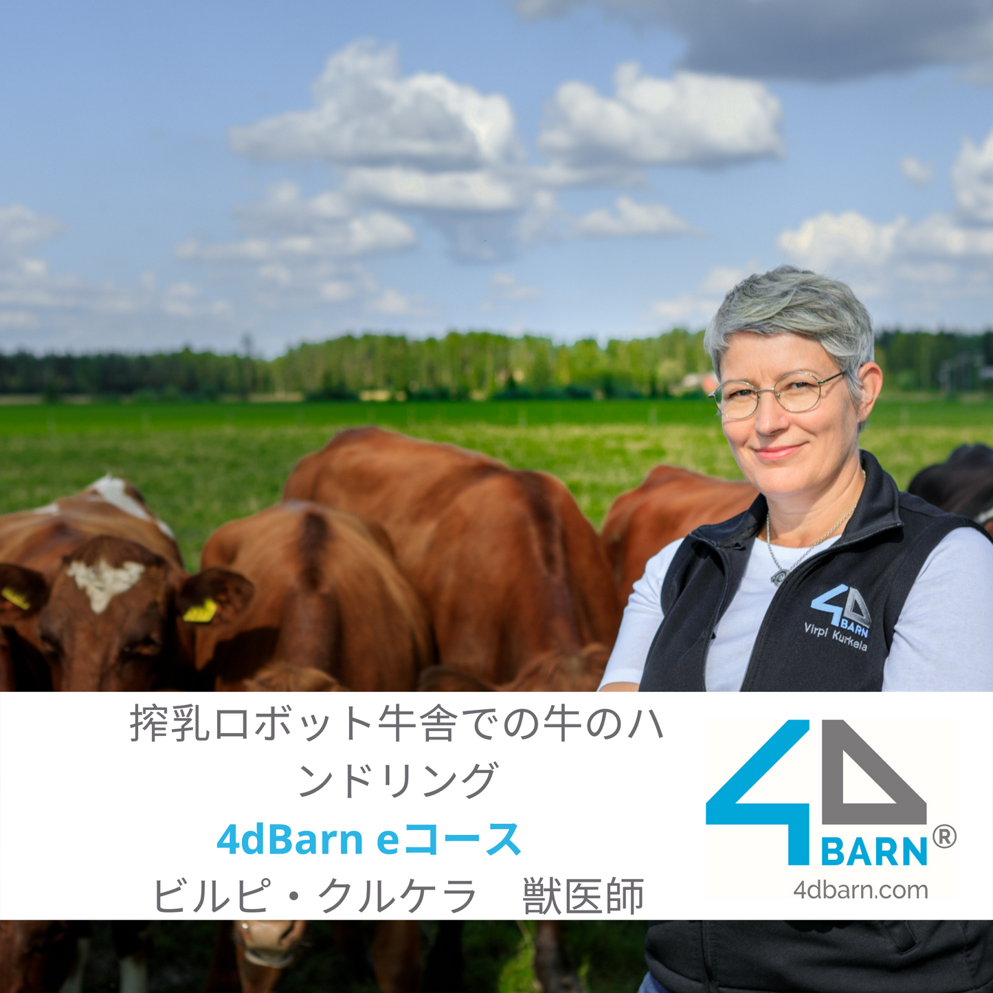 搾乳ロボット牛舎での牛のハンドリング(イントロ)