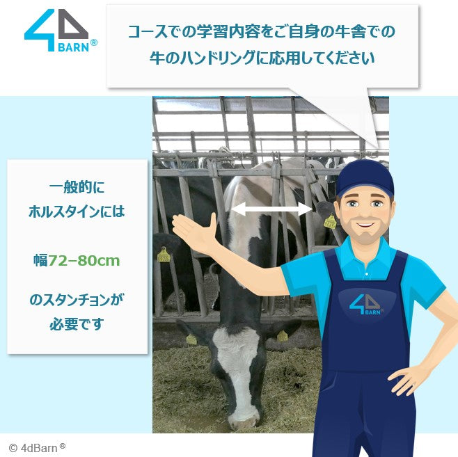 搾乳ロボット牛舎での牛のハンドリング(イントロ)