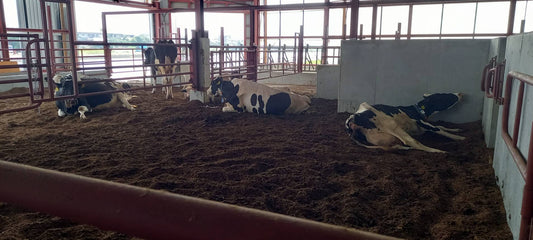 Message from 4dBarn designed one-robot barn in Japan