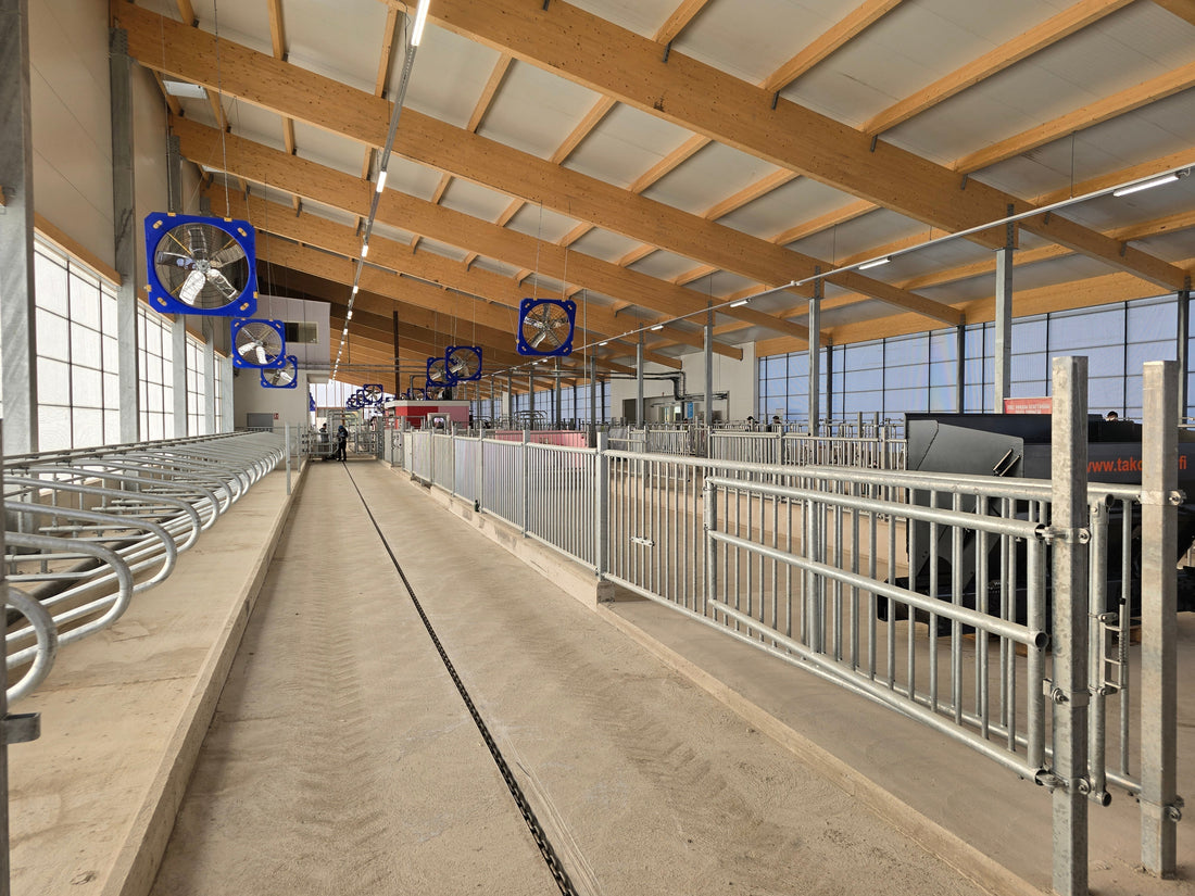 ILMAINEN 4dBarn-webinaaritallenne – Kuka rakentaa vuonna 2026?