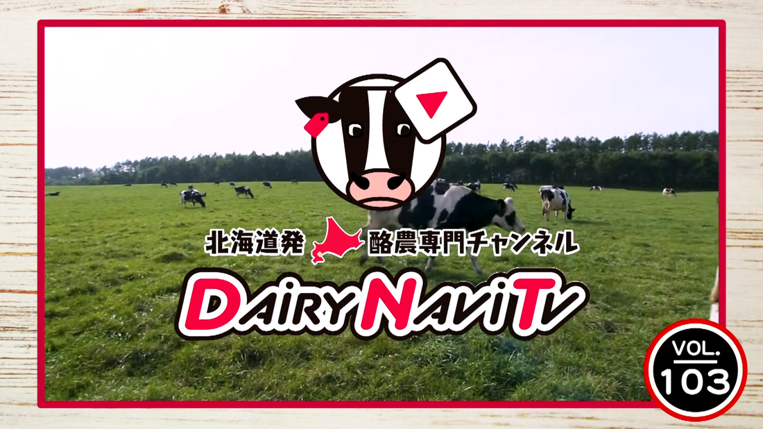 『人にも牛にも優しい４dBarn設計牛舎』 北海道 釧路市 ゆっぱないファーム