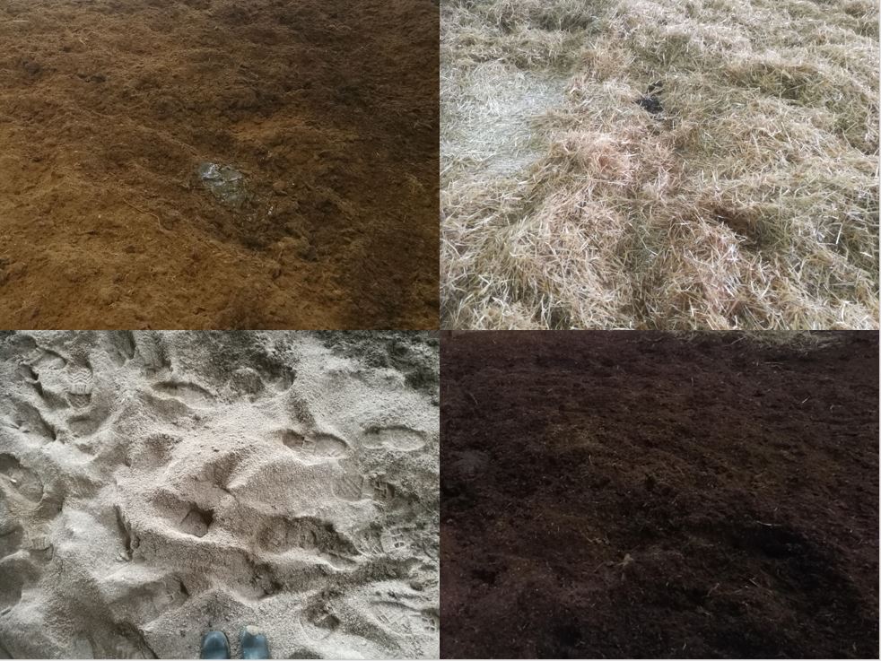 The most common bedding materials