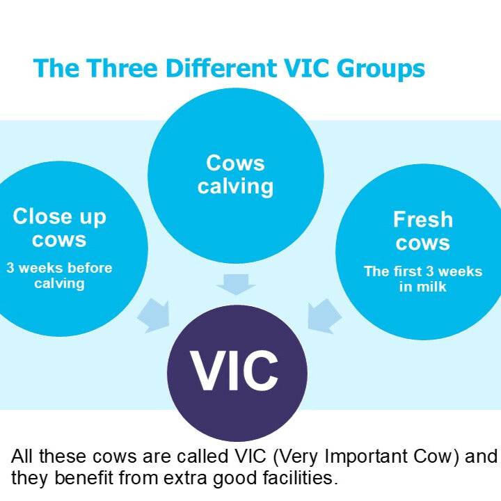 Recording 4dBarn Dairy Welfare Seminar 2024