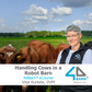Handling Cows in a Robot Barn